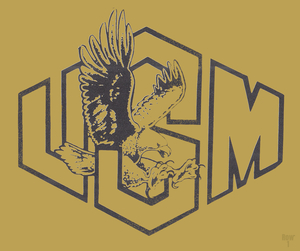 1985 USM Southern Miss Golden Eagle Art