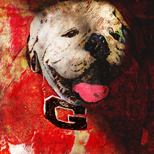 UGA IV Art