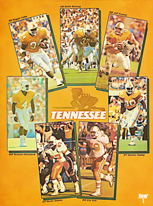 1988 Tennessee Vols Football Art