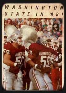 1988 Washington State Football Art