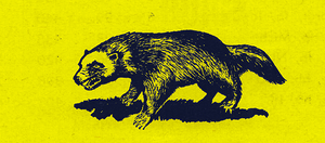 1951 Michigan Wolverine Art