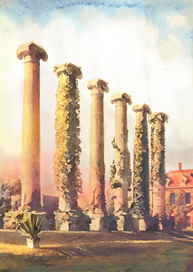The Columns at the University of Missouri