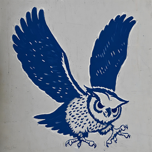 1970s Rice Owl Art