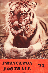1975 princeton football art