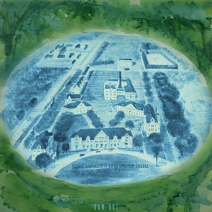 early 1900s tulane campus birds eye view