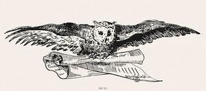early 1900s owl wingfield