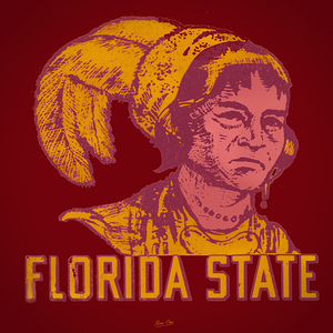 Vintage Florida State Seminoles Art Remix