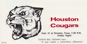 1973 Houston Cougars Art