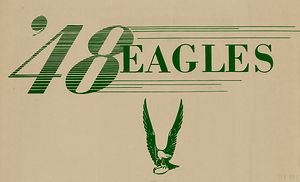 1948 Philadelphia Eagles Art Remix