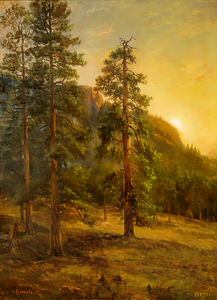California Redwoods 1872 