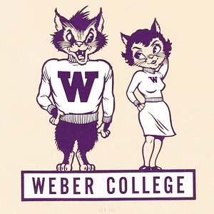 Weber College Wildcats Couple Art