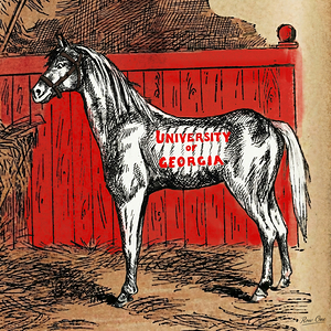 Early 1900s University of Georgia Horse Art