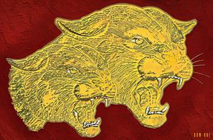 1980s Bethune-Cookman Wildcats Art