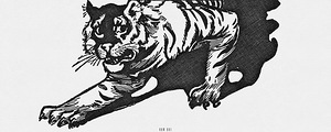 1907 tiger by john r neill