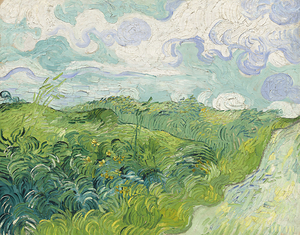 Green Wheat Fields Auvers 