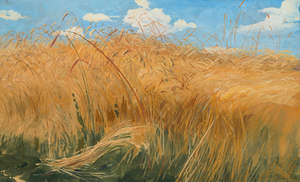 Klosy Field and cereal studies 1901