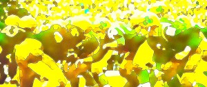 abstract football art