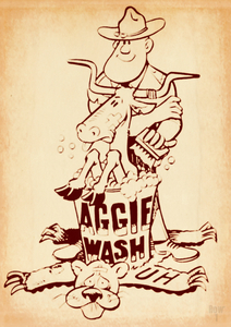 Aggie Wash
