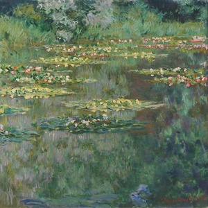 le bassin de nympheas 