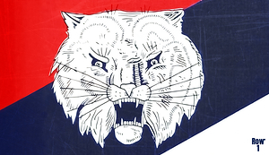 College Throwback Arizona Wildcat Art