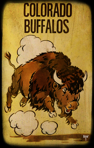 Colorado Buffaloes Viewfinder Slide Art