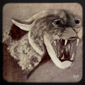 cougar viewfinder slide art retro