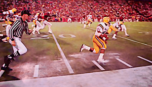 1984 Tiger Win in the Rain 