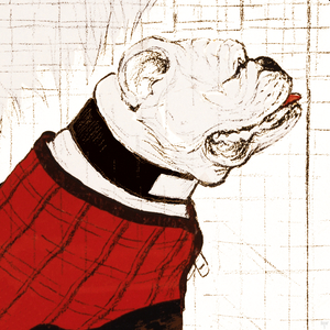 Early 1900s Bulldog Art