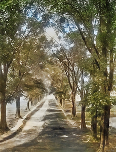 early 1900s lsu avenue campus art