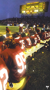 Florida State Football Sideline Art