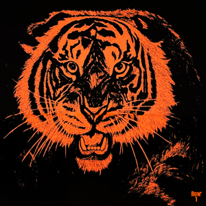 Georgetown College of Kentucky Tiger Art