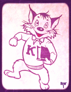 k state wildcat with book 