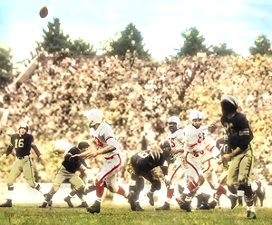 len dawson purdue boilermakers football art
