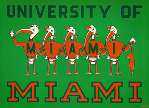 Miami Hurricanes Cartoon 5 Ibis Holding a Gator