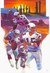1988 Phoenix Cardinals Sunset Art