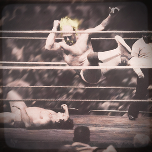 Retro Hulk Hogan 3D Art 