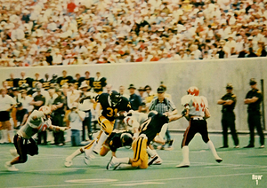 robert alexander west virginia touchdown
