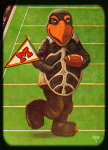 Throwback Eighties Maryland Terrapin Viewfinder Art