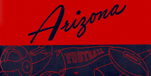 Vintage Arizona Wildcats Football Art