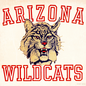 Vintage Arizona Wildcat Art