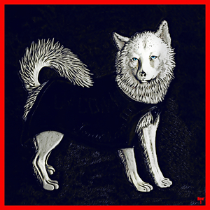 Vintage Connecticut Husky Art
