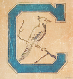 vintage creighton blue jay remix art