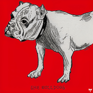 Early 1900s Georgia Bulldog Art