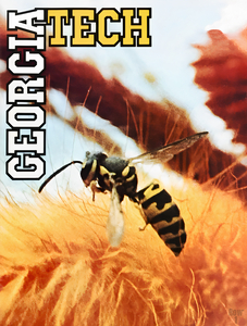1957 Georgia Tech Yellow Jacket Art