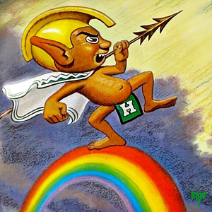 Vintage Hawaii Rainbow Warrior Art