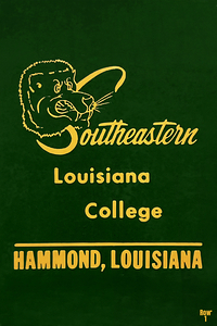 vintage southeastern college lions art