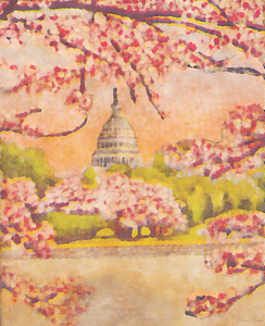 washington dc cherry blossoms art