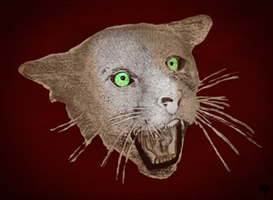 Vintage Washington State Cougar Art