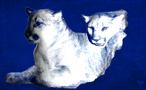 Early 1900s BYU Cougars Art