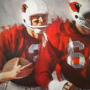 1966 St. Louis Cardinals Football Art